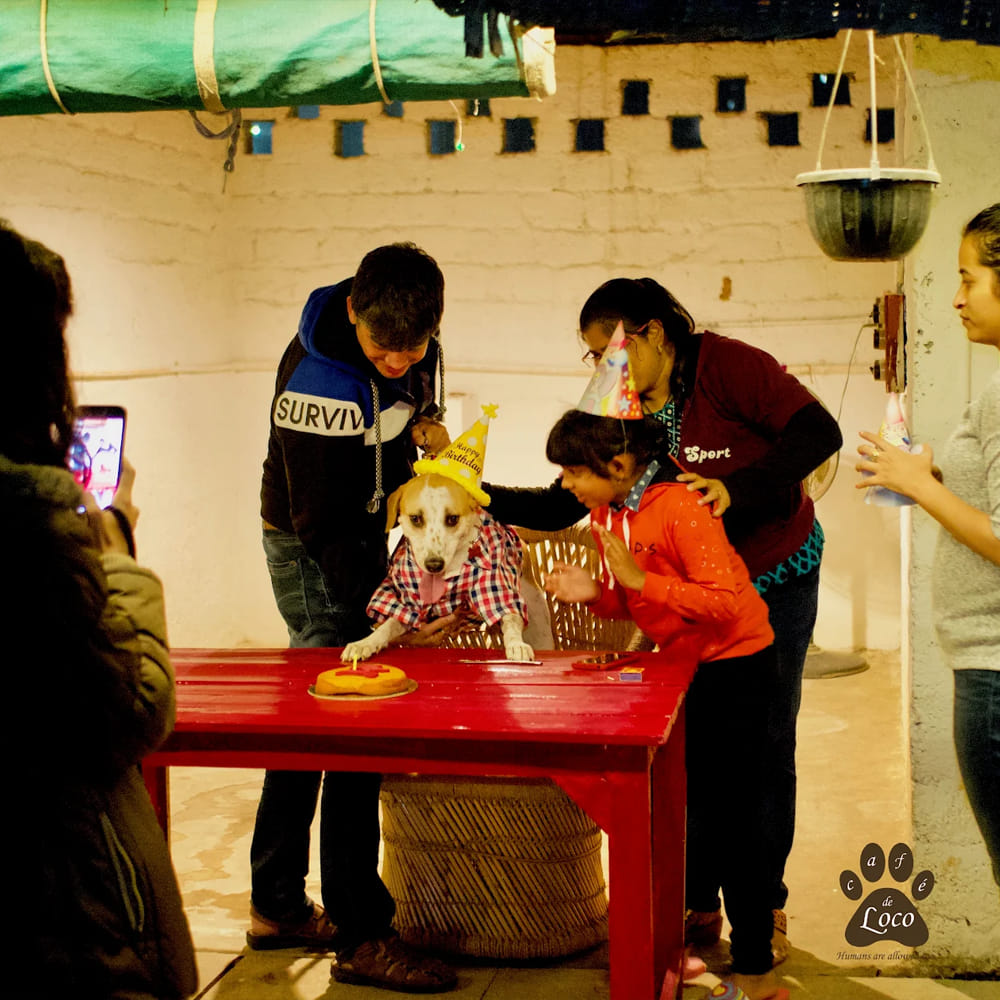 img-gallery-featured