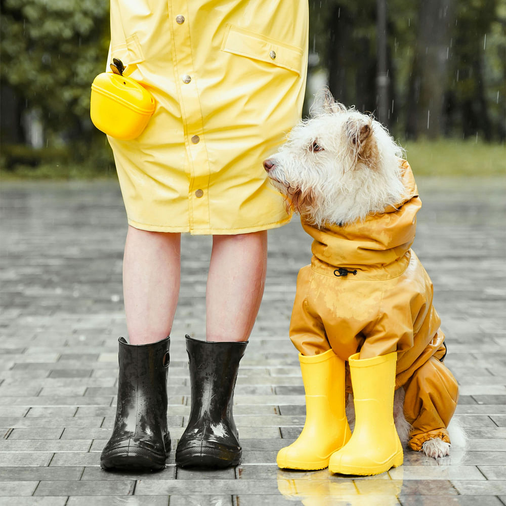Yellow,Raincoat,Rain Boot,Rain Suit,Plastic,Umbrella