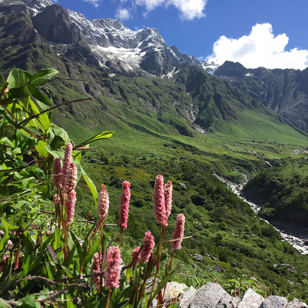 Mountainous landforms,Mountain,Highland,Mountain range,Hill,Hill station,Valley,Ridge,Alps,Fell