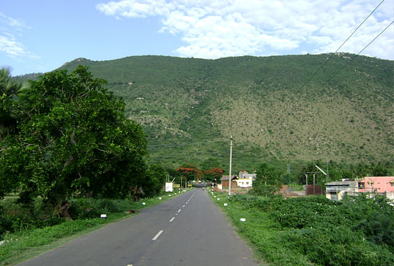 map-inner-image