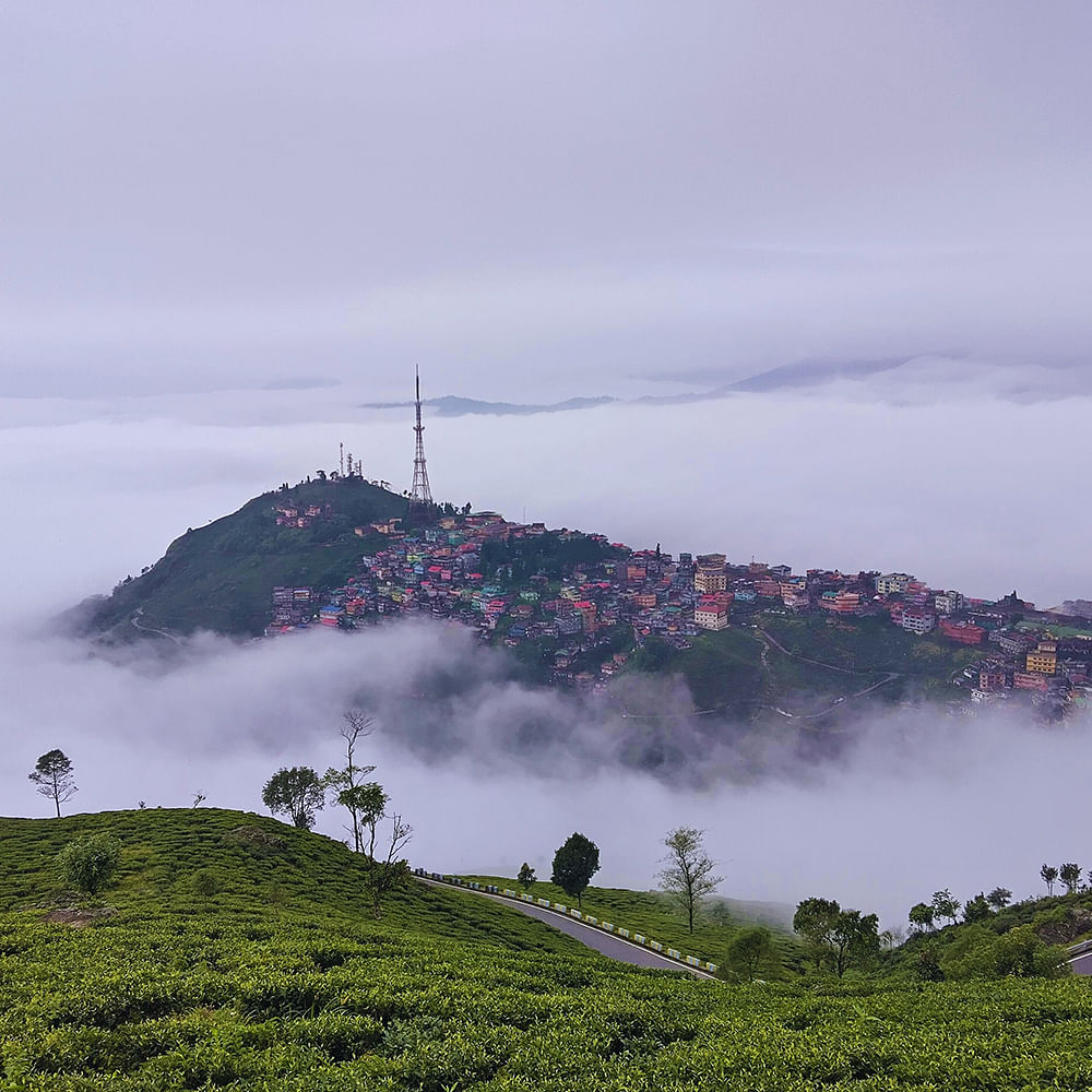 atmospheric phenomenon,Hill,Hill station,Highland,Landscape,Tourist attraction,Morning,Fog,Mist,Haze