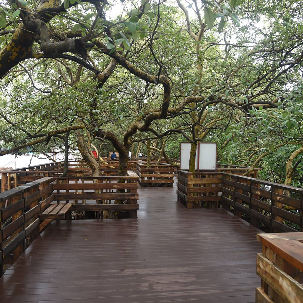 Wood,Trunk,Plank,Lumber,Fence,Hardwood,Wood stain,Walkway,Split-rail fence,Boardwalk
