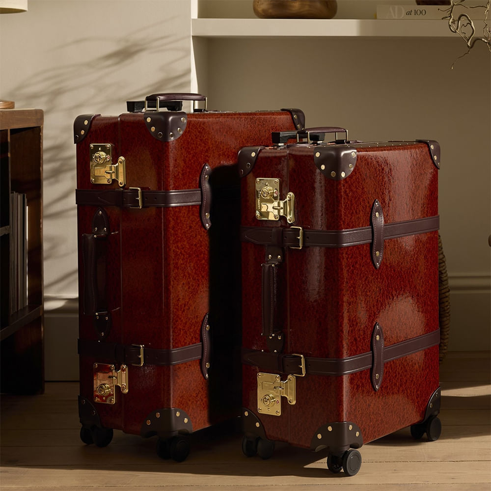 Suitcase,Trunk,Baggage,Lamp,Hand luggage,Antique