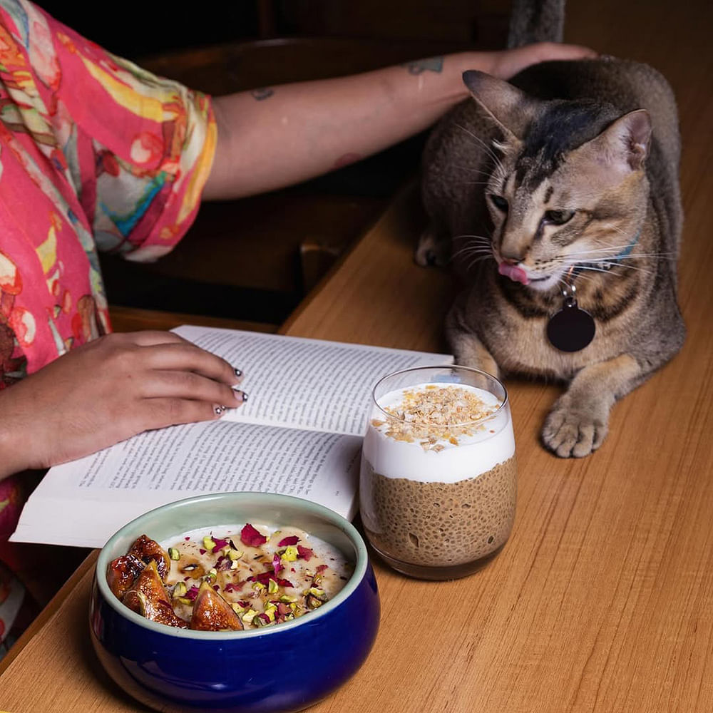 Tableware,Food,Ingredient,Breakfast cereal,Bowl,Pet Supply,Cereal,Serveware,Cat,Recipe