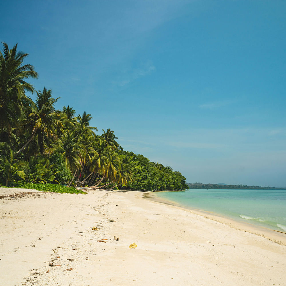 Blue,Beach,Coast,Coastal and oceanic landforms,Sand,Shore,Sea,Summer,Ocean,Tropics