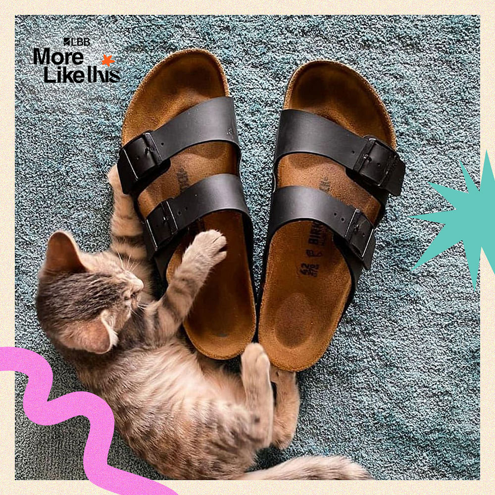 Footwear,Fashion,Denim,Slipper,Leather,Slide Sandal,Strap,Foot,Sandal,Synthetic rubber
