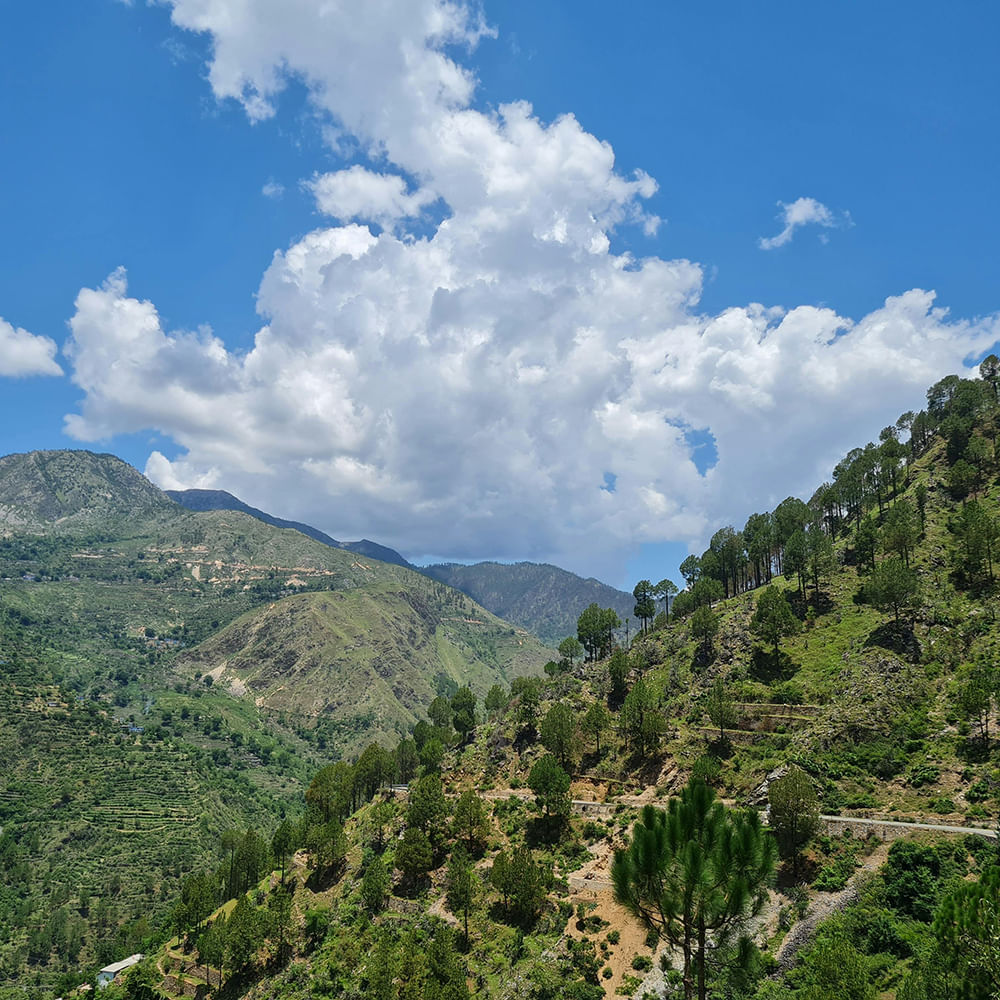 Mountain,Mountainous landforms,Leaf,Vegetation,Hill,Highland,Natural landscape,Cloud,Forest,Hill station