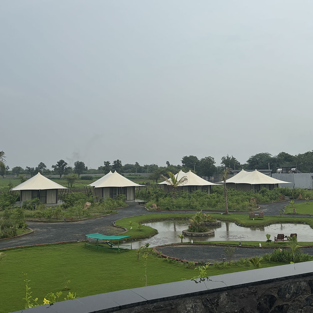 Garden,Outdoor Structure,Landscaping,Umbrella,Canopy,Pavilion,Park,Palm trees,Botanical garden,Dome