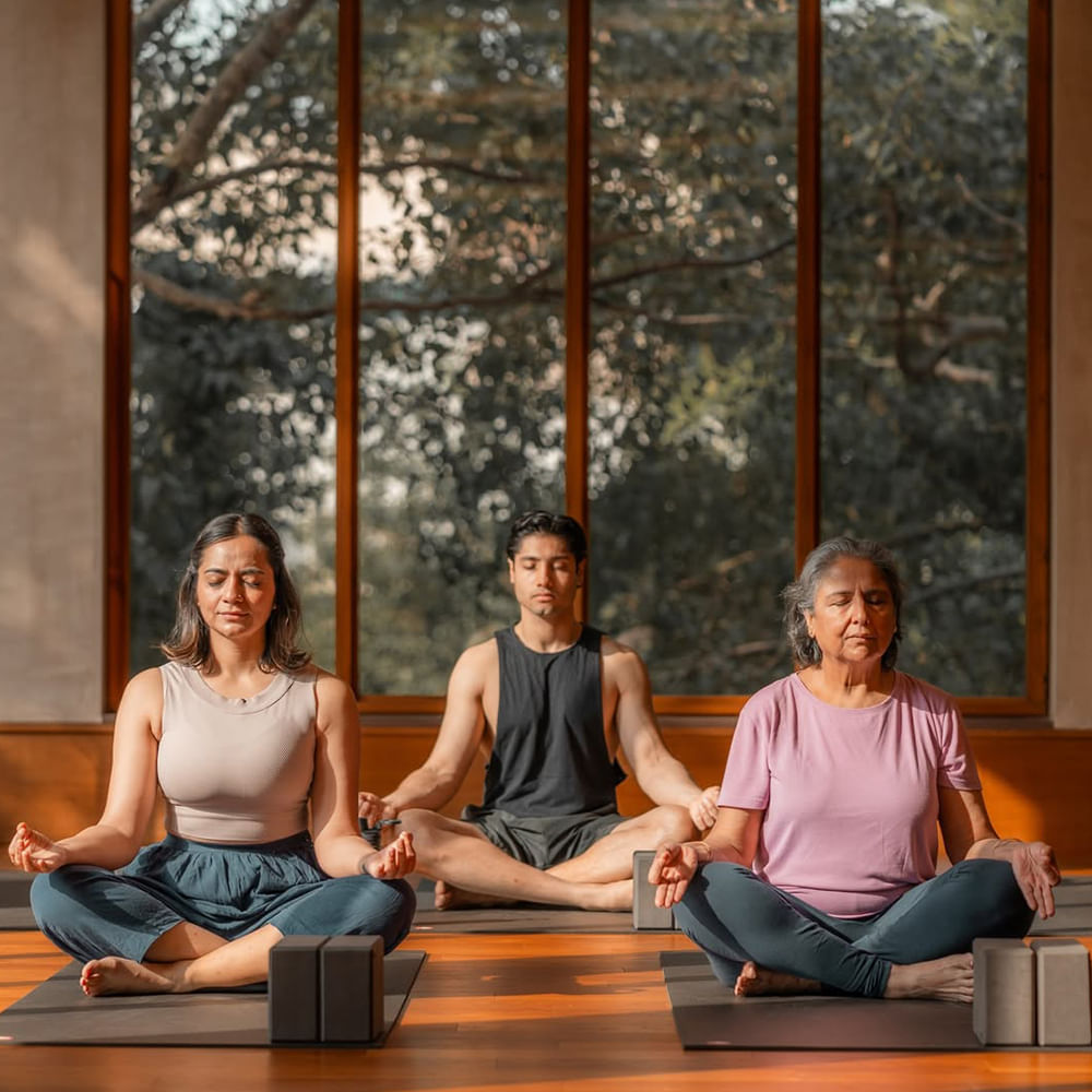 Yoga,Meditation,Sitting,Exercise,Physical fitness,Yoga mat,Knee,Comfort,Mat,Leisure