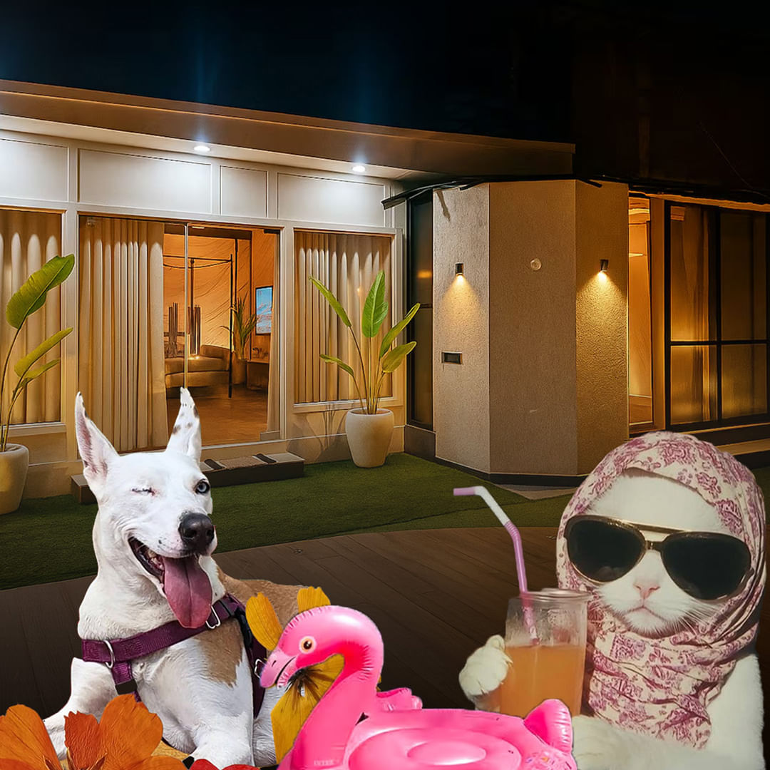 Dog,Carnivores,Canidae,Houseplant,Dog Supply,Pet Supply,Toy dog,Flowerpot,Light fixture