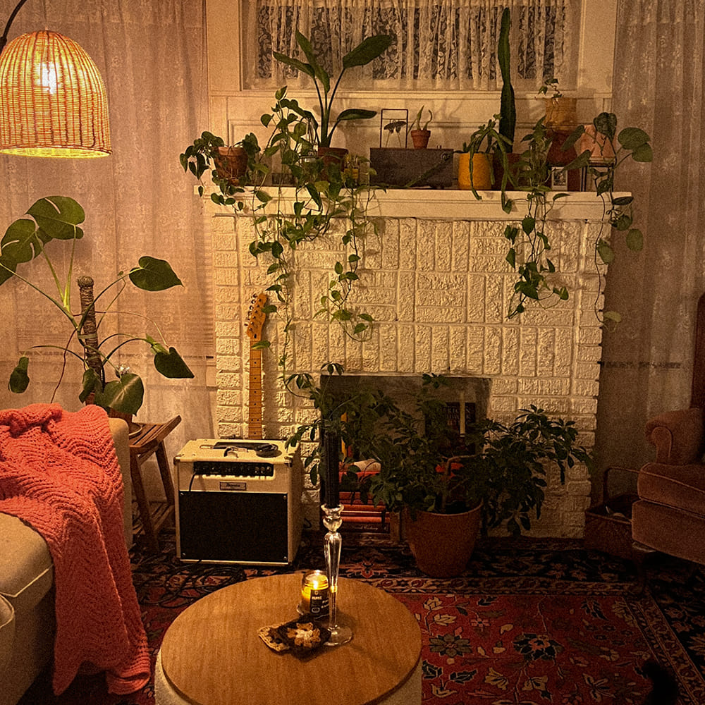 Interior design,Wood,Furniture,Lighting,Flowerpot,Room,Houseplant,Light fixture,Living room,Wood stain