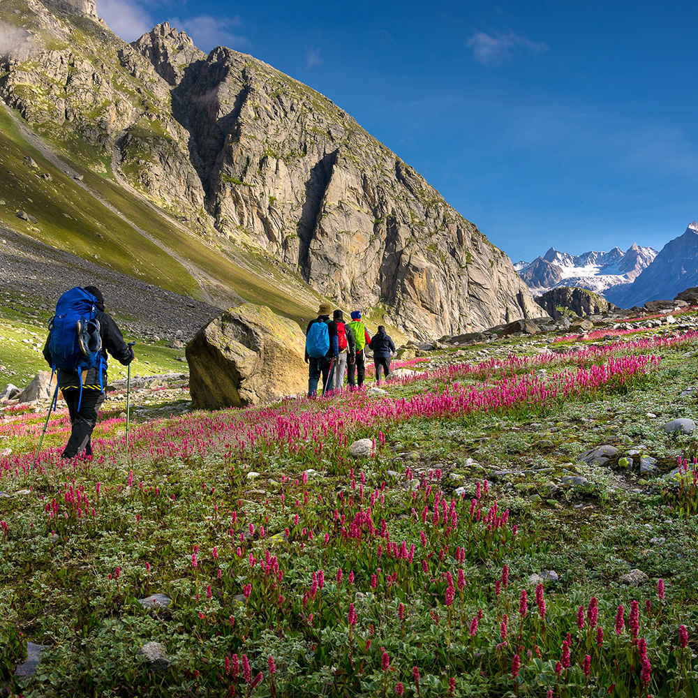 Mountainous landforms,Mountain,Flower,Mountain range,Adventure,Highland,Wilderness,Hiking,Recreation,Hill