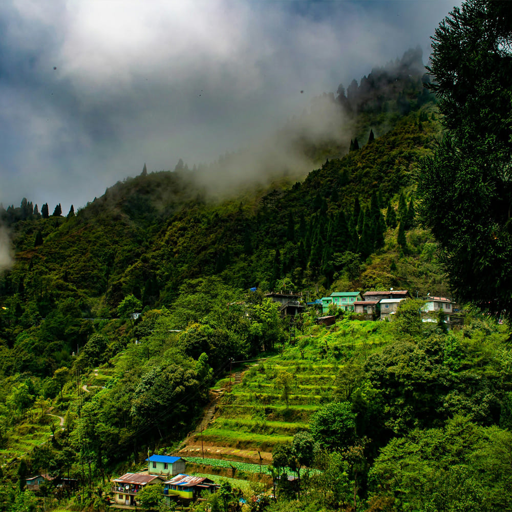 Mountainous landforms,Green,Mountain,Vegetation,Hill,Highland,Natural landscape,Hill station,Forest,Rural area