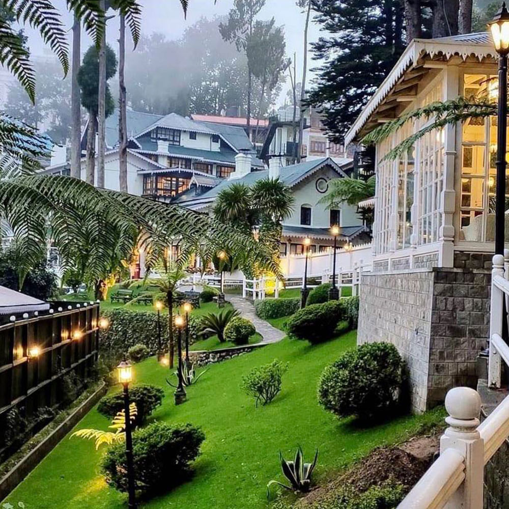 Garden,Landscaping,Estate,Yard,Palm trees,Walkway,Stairs,Hacienda,Resort,Mansion