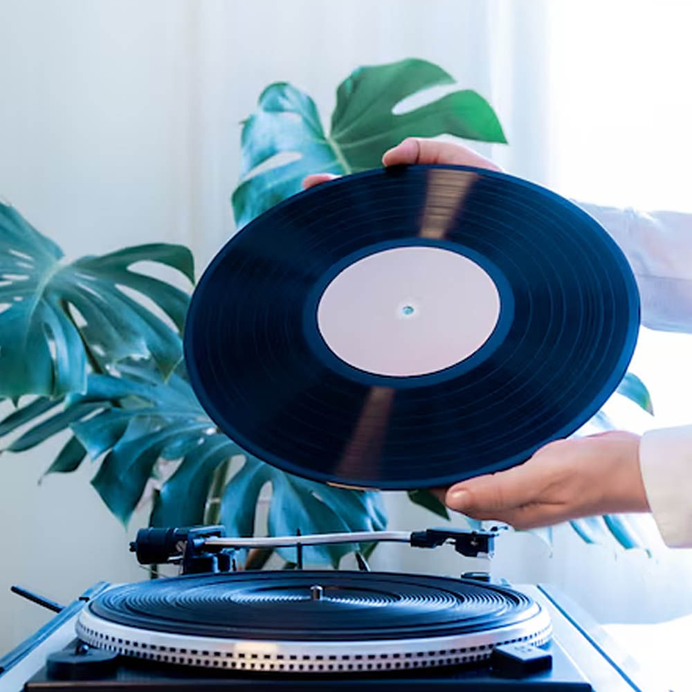 Electronic device,Phonograph record,Record Player,Technology,Electronics,Gadget