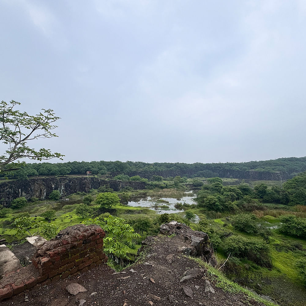 Vegetation,Ecoregion,Terrain,Plant community,geological phenomenon,Geology,Shrubland,Jungle,Bog,Chaparral