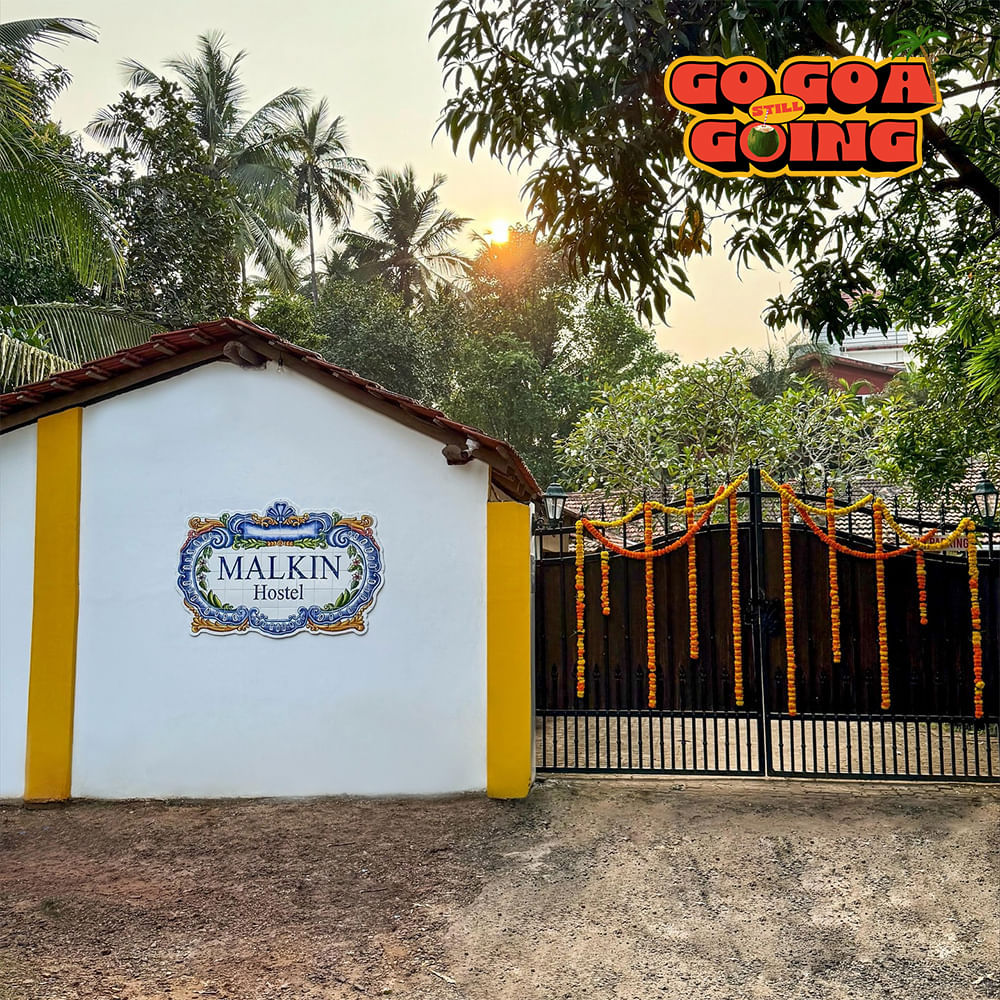 Advertising,Logo,Palm trees,Banner