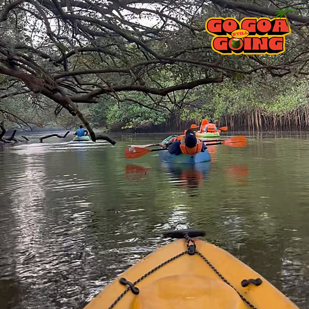 Boat,Kayak,Watercraft,Recreation,Boats and boating--Equipment and supplies,Kayaking,Water sport,Outdoor recreation,Canoeing,River