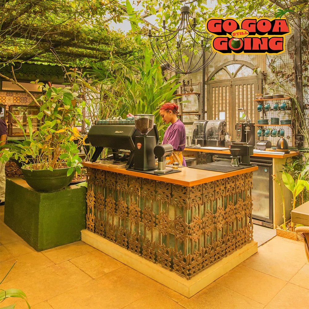 Flowerpot,Houseplant,Restaurant