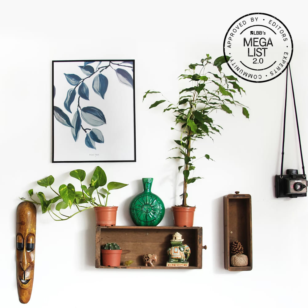 Flowerpot,Shelving,Houseplant,Vase,Natural material,Shelf,Fruit,Pottery,Paint,Still life photography