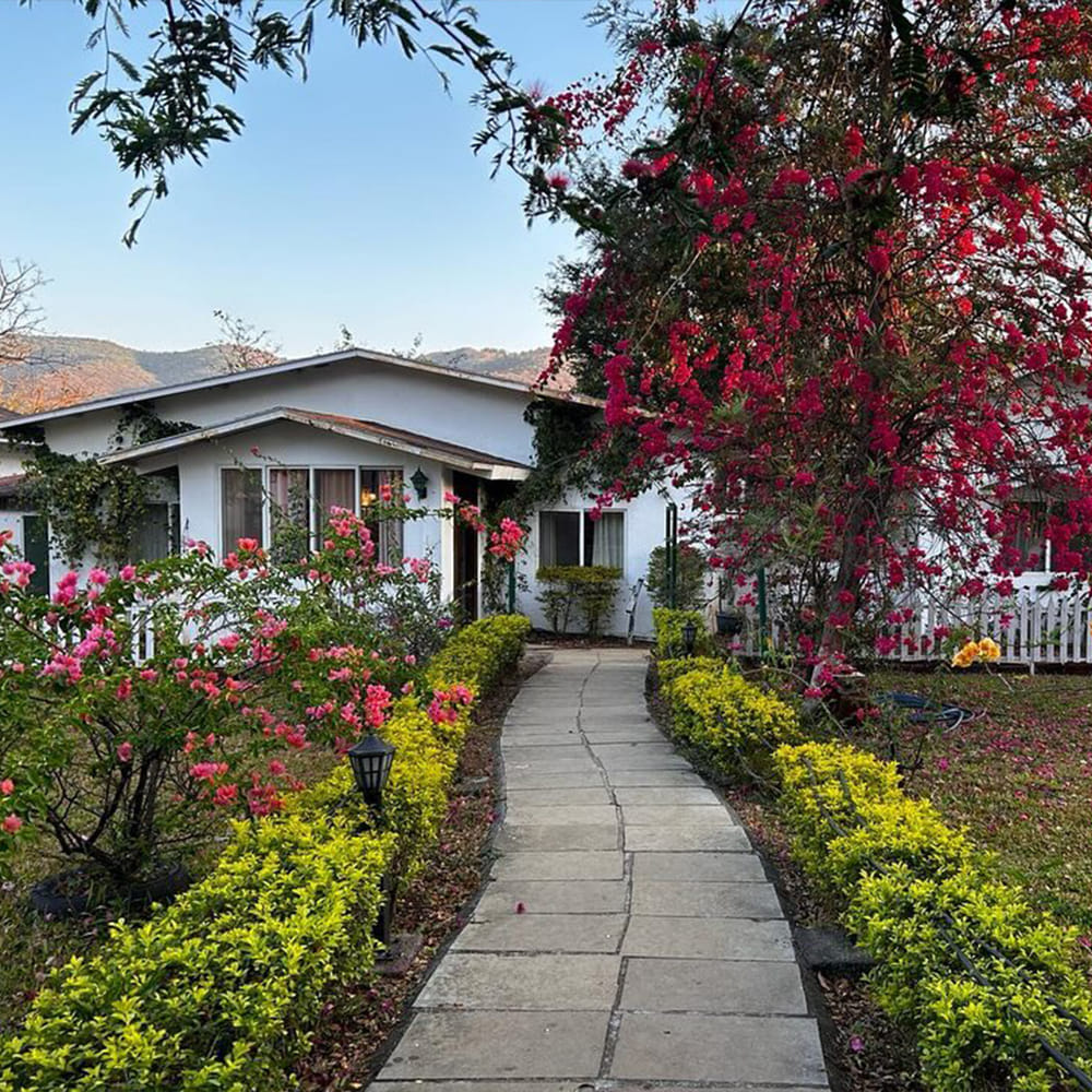 Flower,Plants,Shrub,House,Garden,Home,Cottage,Spring,Groundcover,Flowering plant