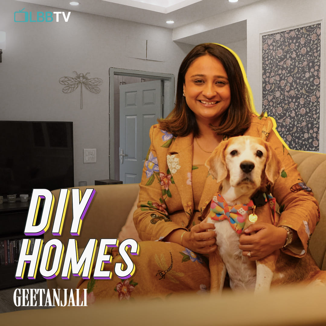 Dog,Carnivores,Smile,Happiness,Working animal,Canidae,Living room,Pet Supply